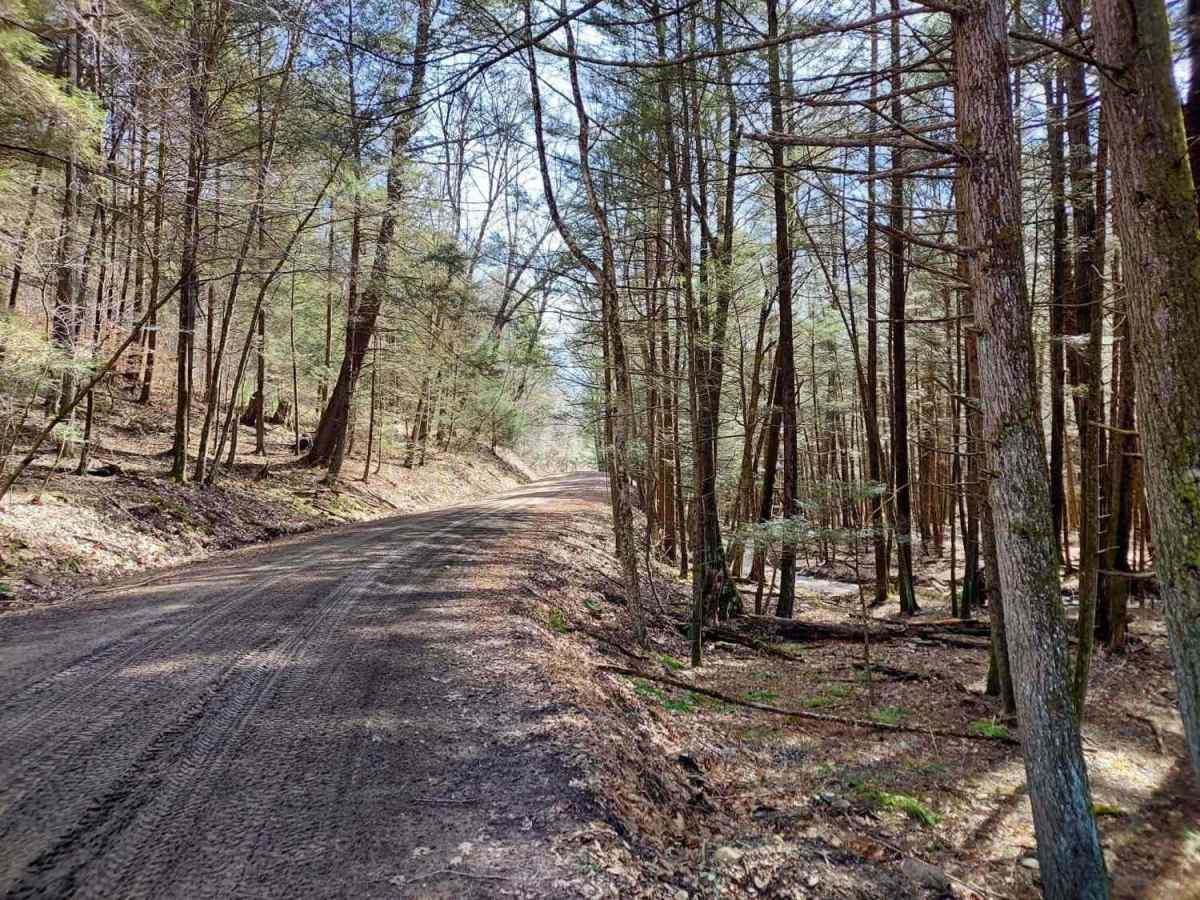Smith Hill Road photo 5