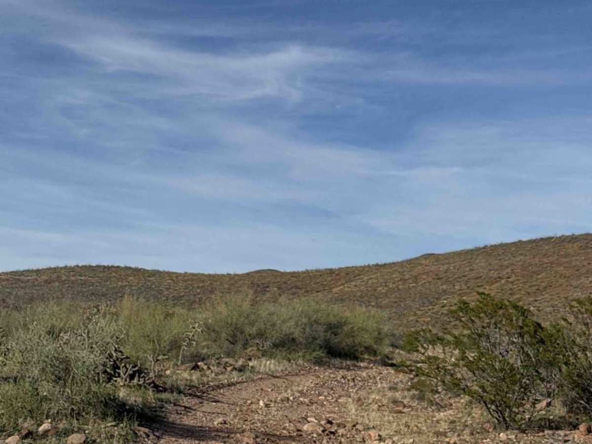 Ss1103 photo 2