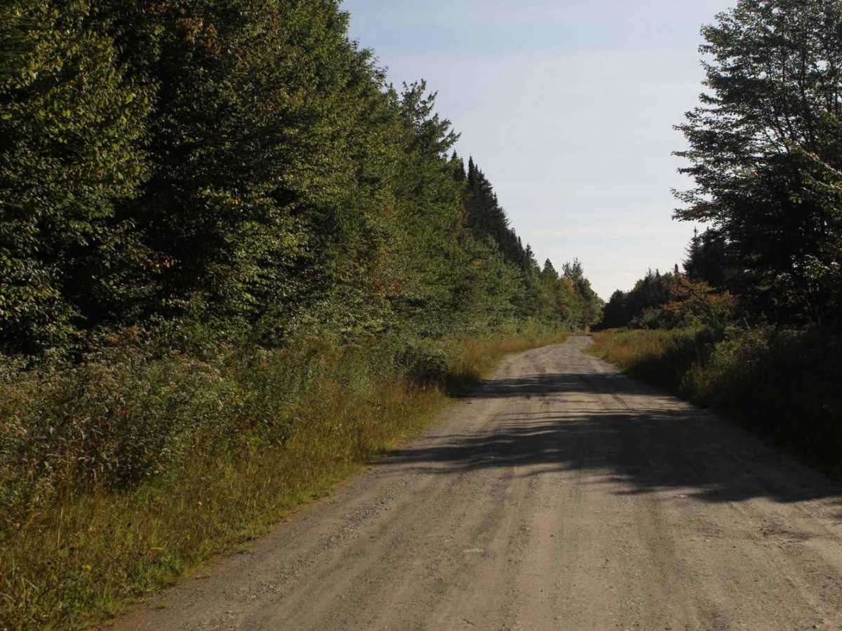Smith Brook Road photo 3