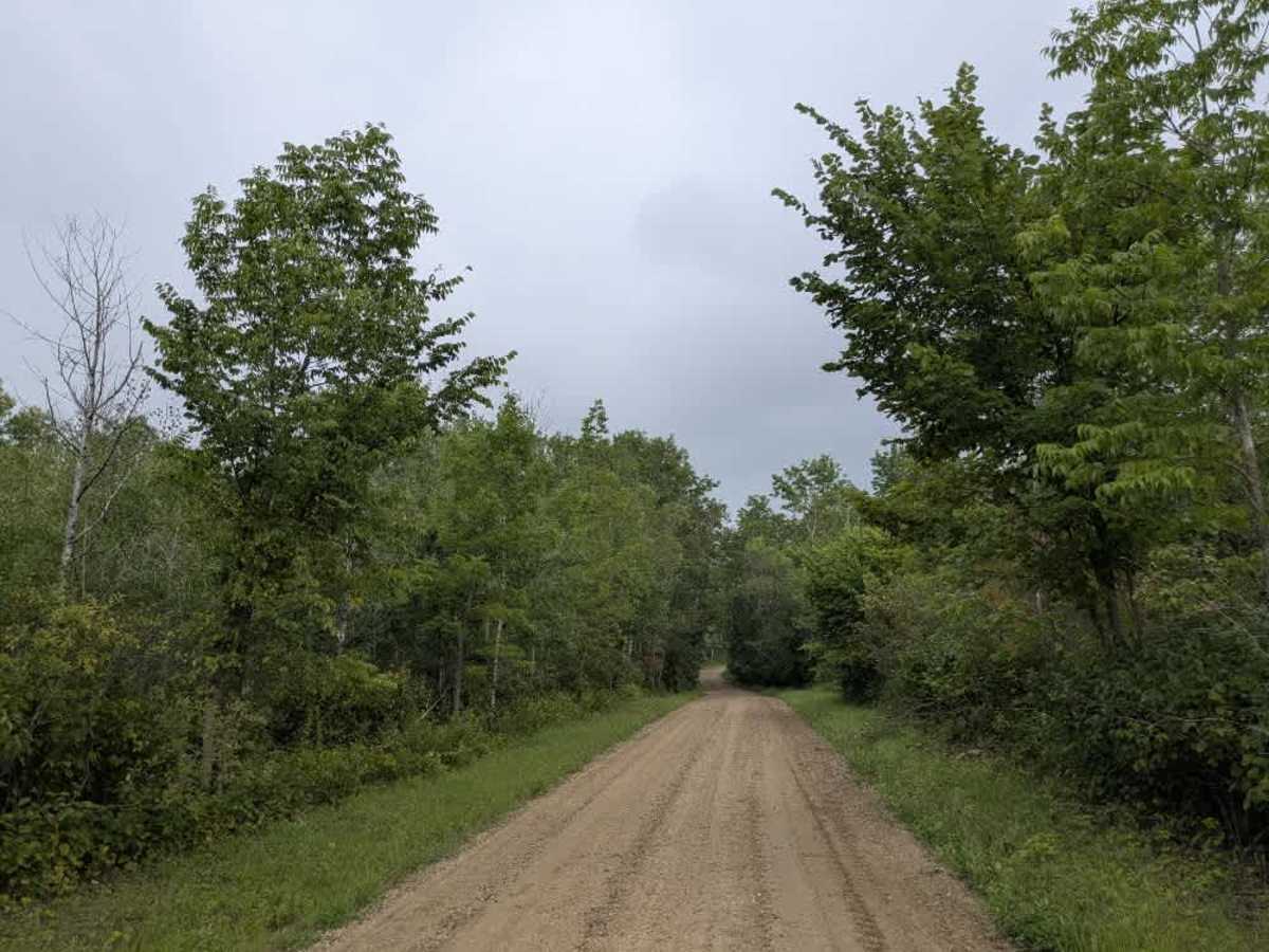 Randen Ridge photo 6