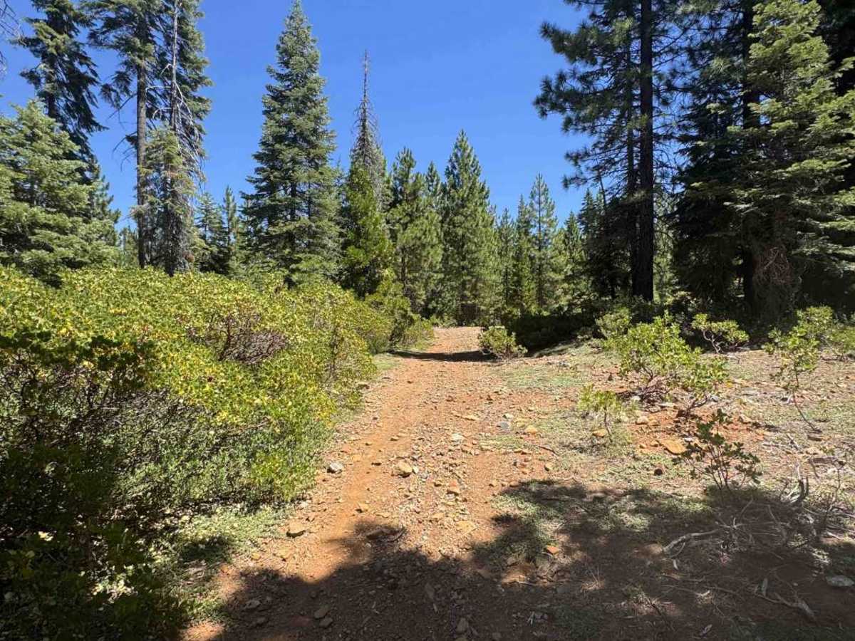 Deer Creek - FS 40N27 photo 2