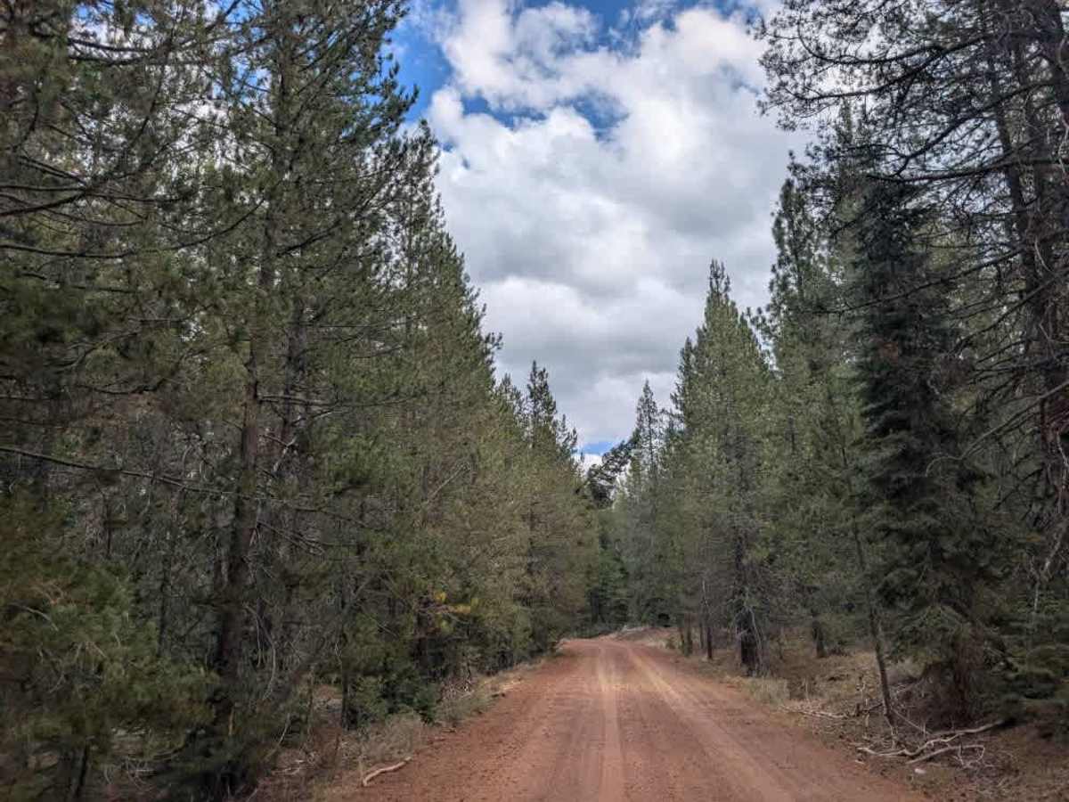 FS 30N06 trail photo