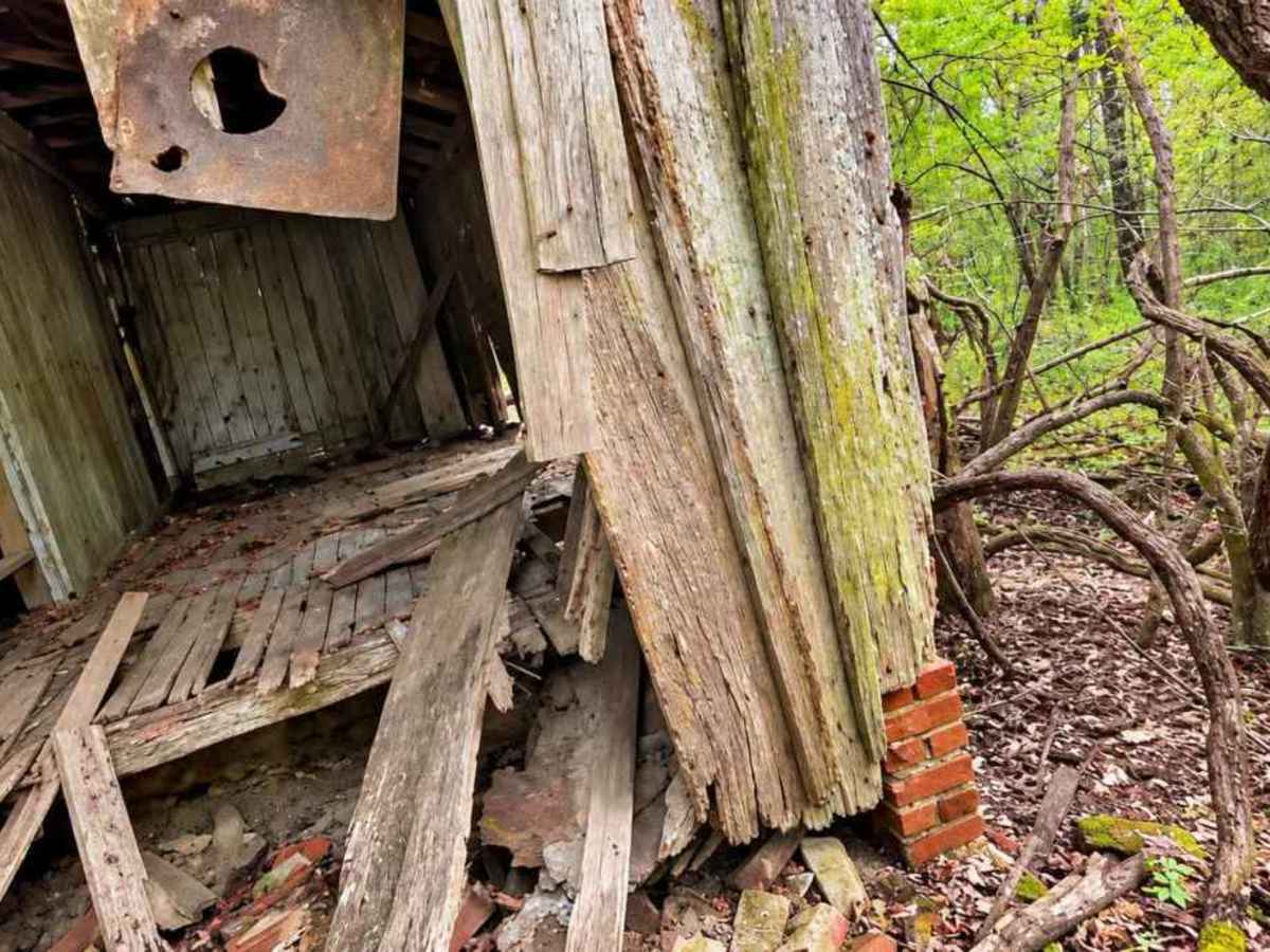 Old Ruins Trail photo 6