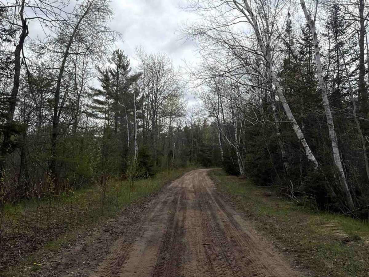 Tank trail photo 2