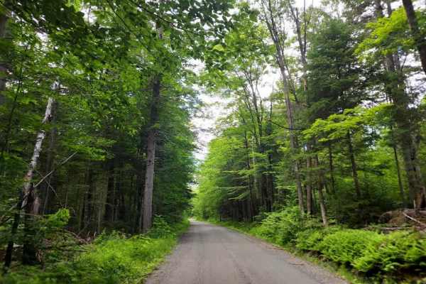 Brown Schoolhouse Road 