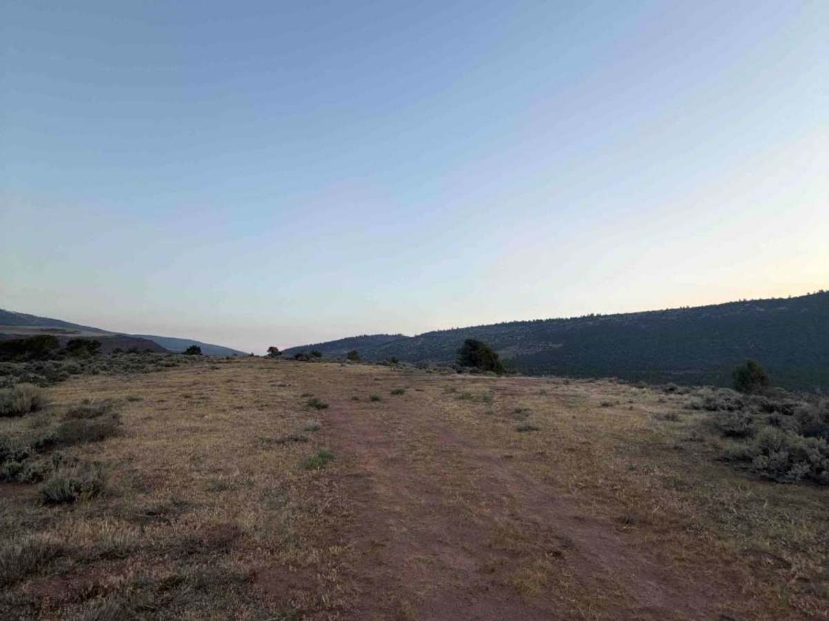 BLM 8621 photo 6