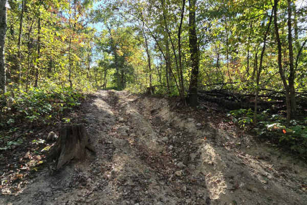 Easy Does It Trail