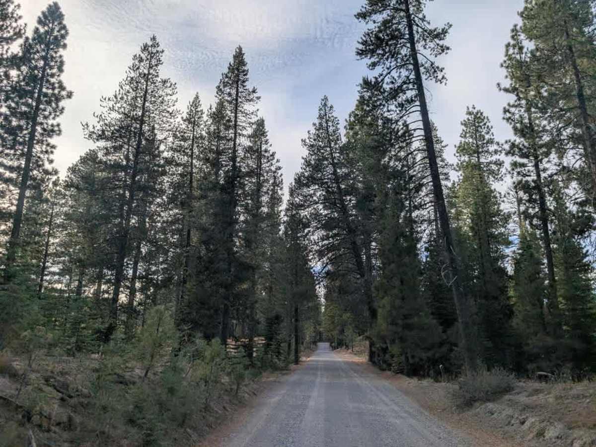 FS 24N10 trail photo