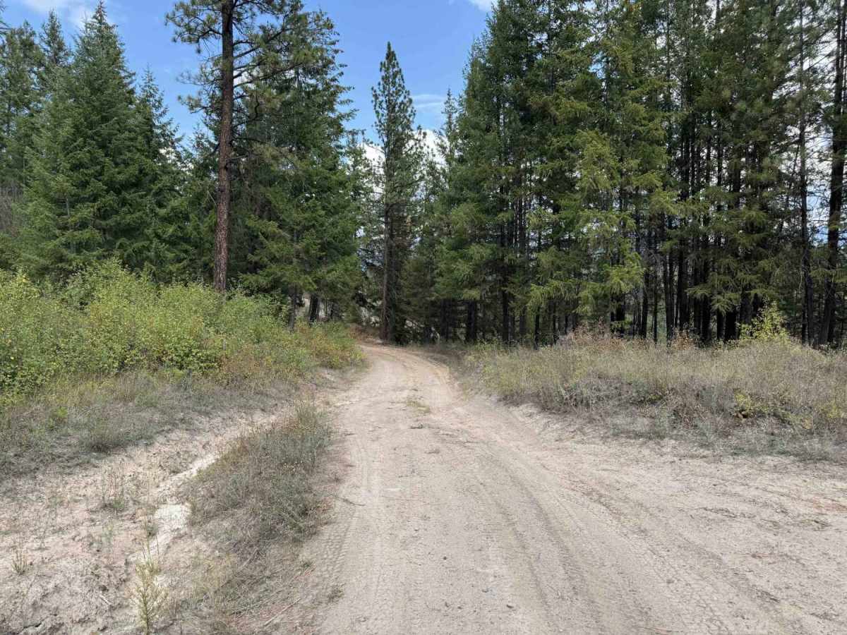 Iron Mountain - FSR 344 photo 5