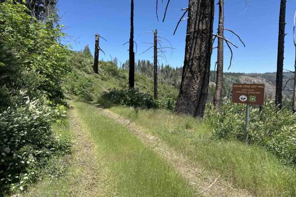 Grouse Creek Jeep Trail - FS 12E23
