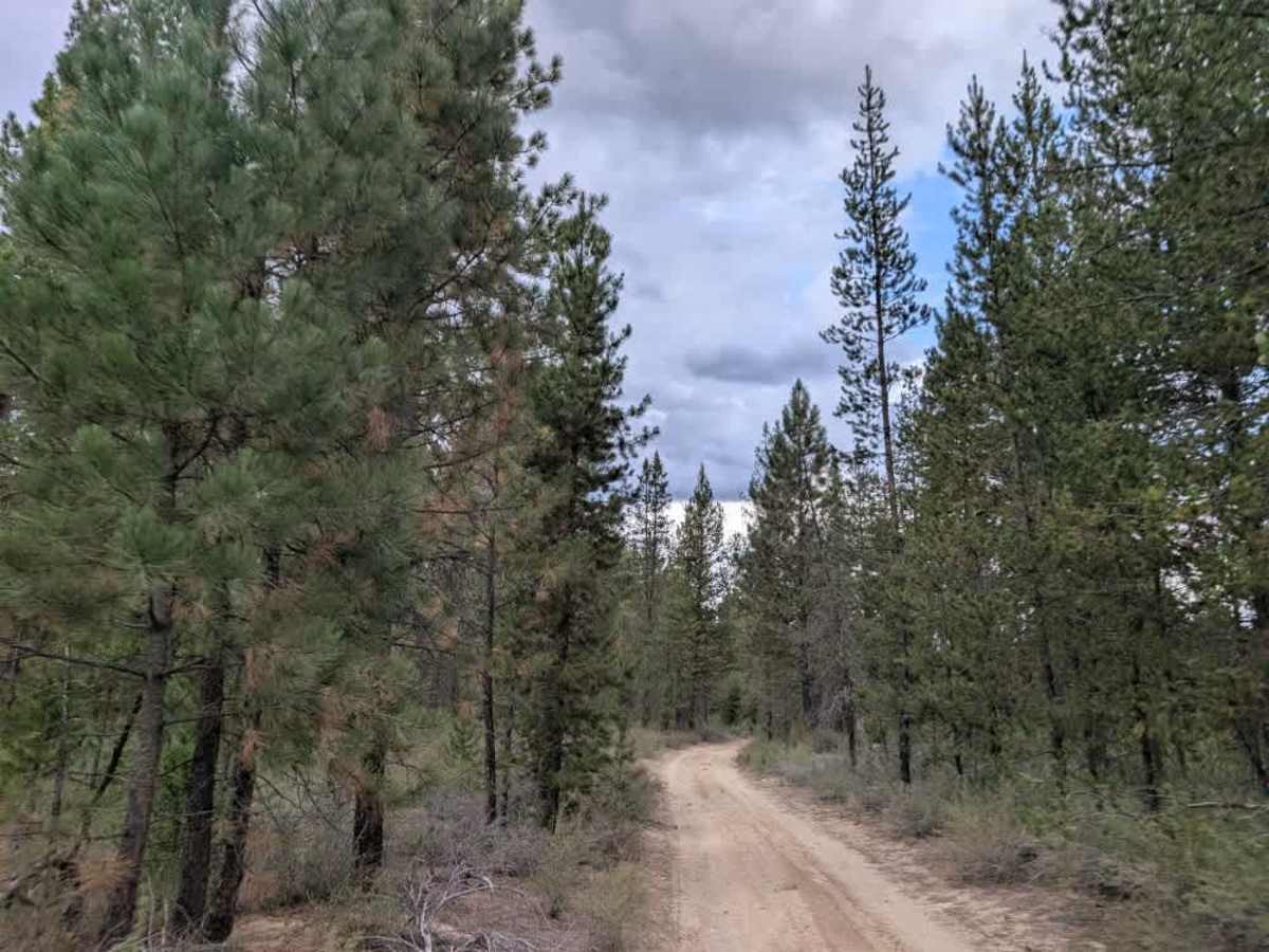 FS 4400330, Oregon | Off-Road Trail Maps, Difficulty, Trail Status ...