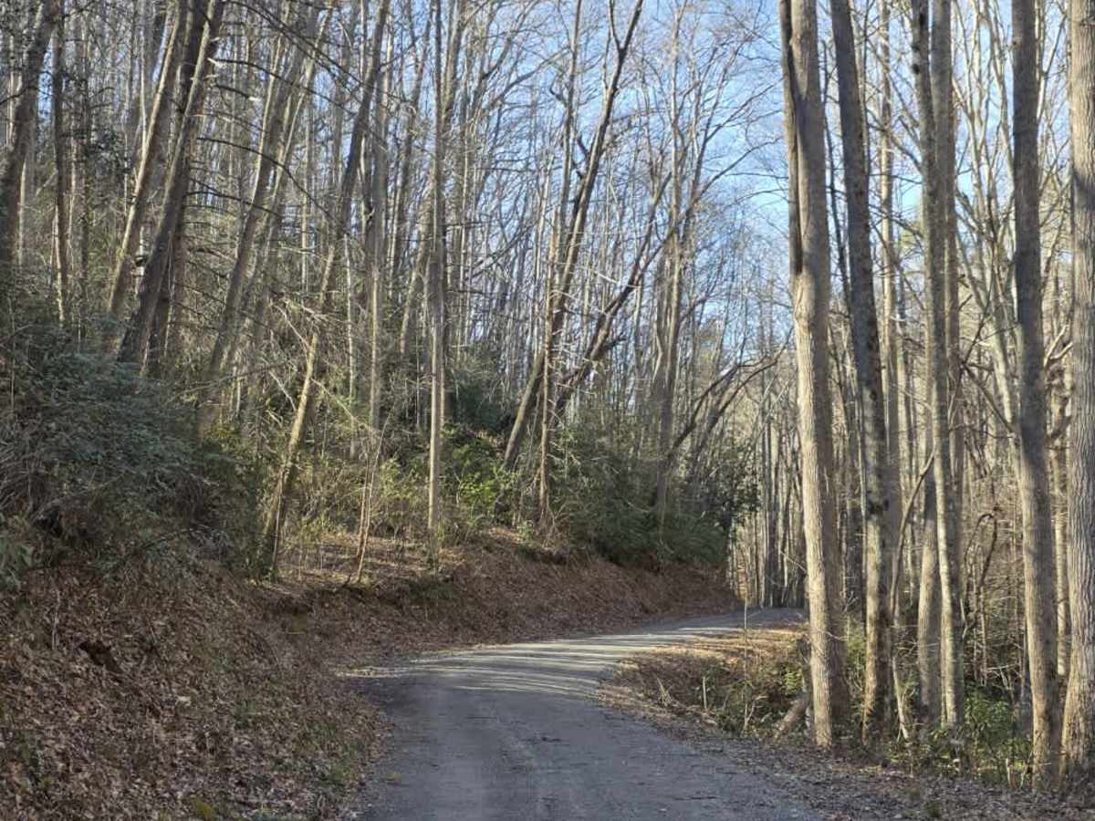 Flat Branch photo 5