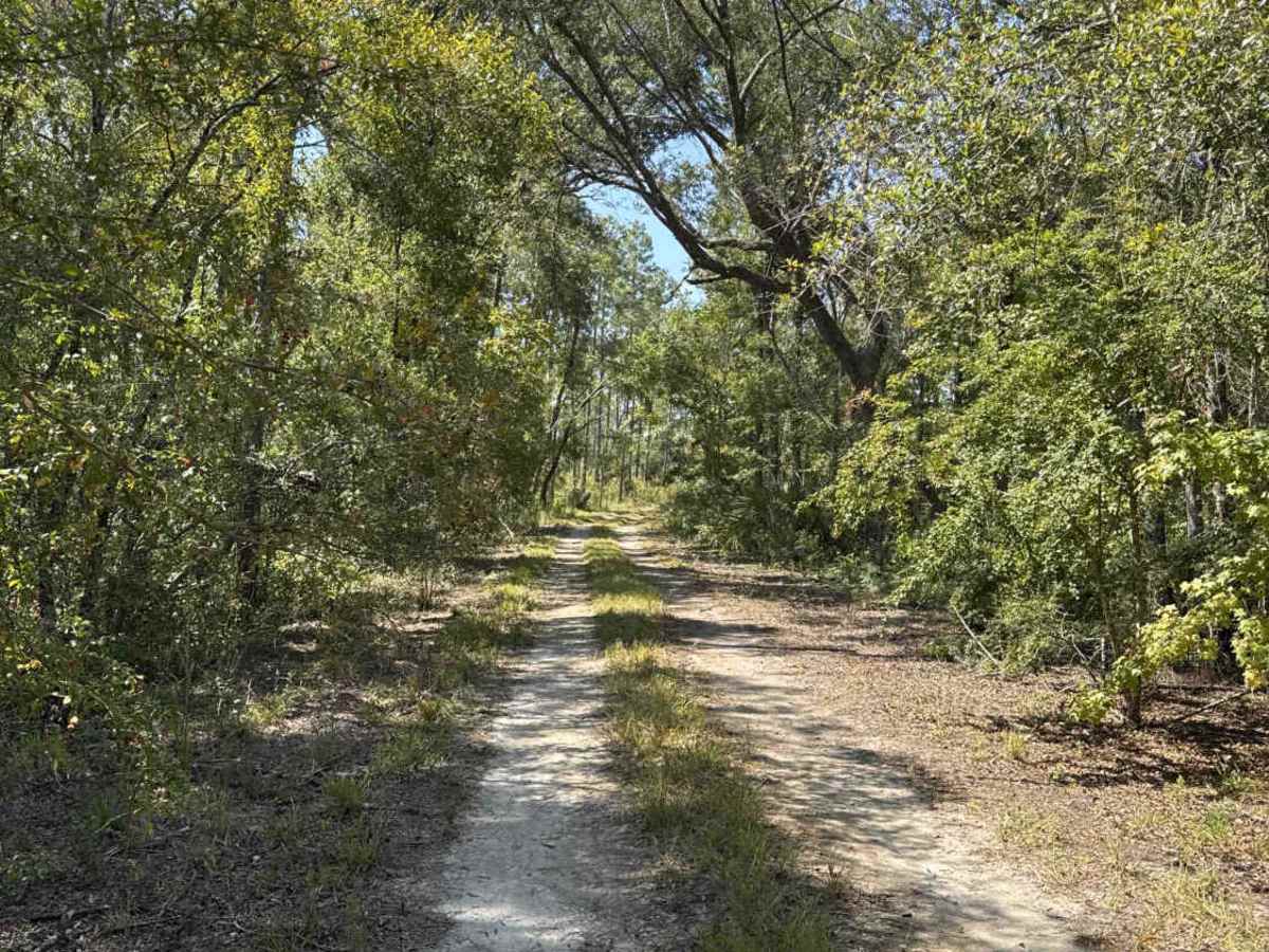 Warbler Loop North photo 5