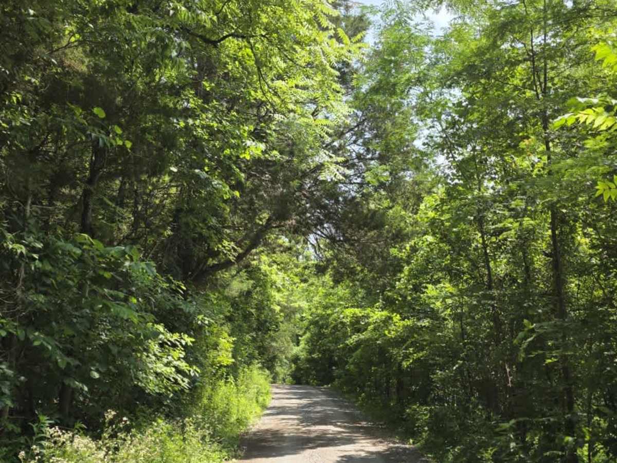 Wilmore Hollow Road - Macon County Tour photo 6