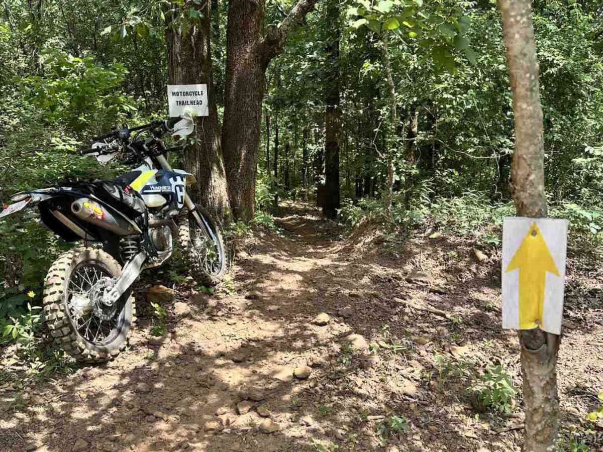 Shocker trail photo