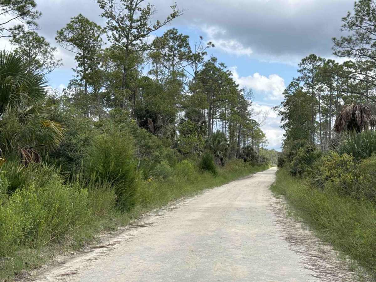 Homus Pond Road photo 4