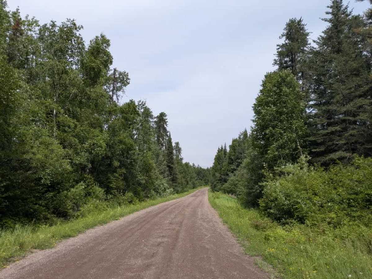 Greenwood Lake Road - FS 309 trail photo