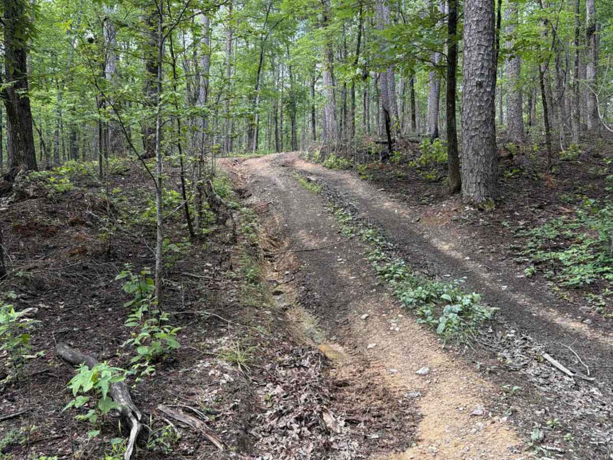 Lake Point Trail  photo 6