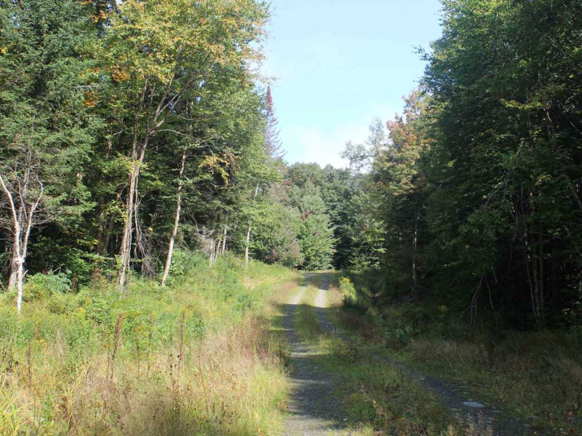 Roaring Brook Trail photo 3