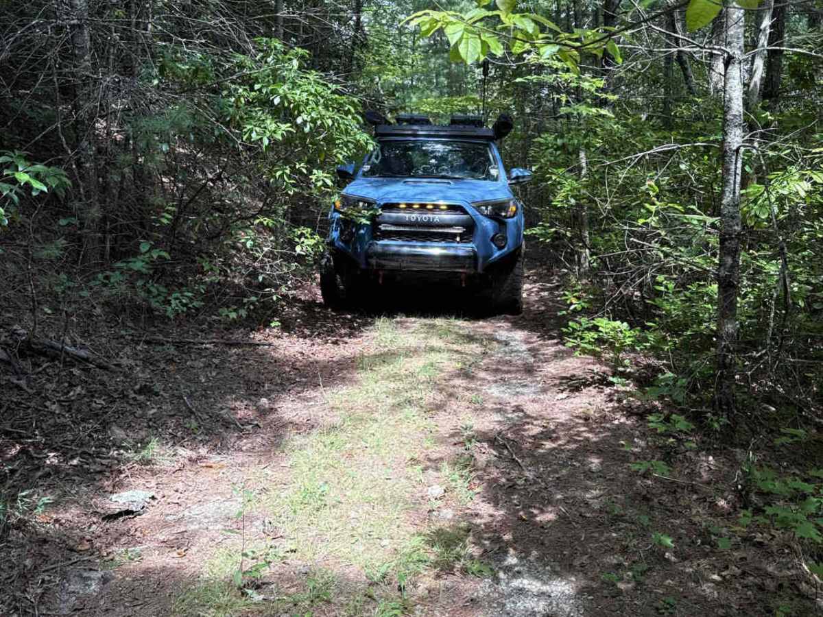 Fortenberry - FS 395 photo 6