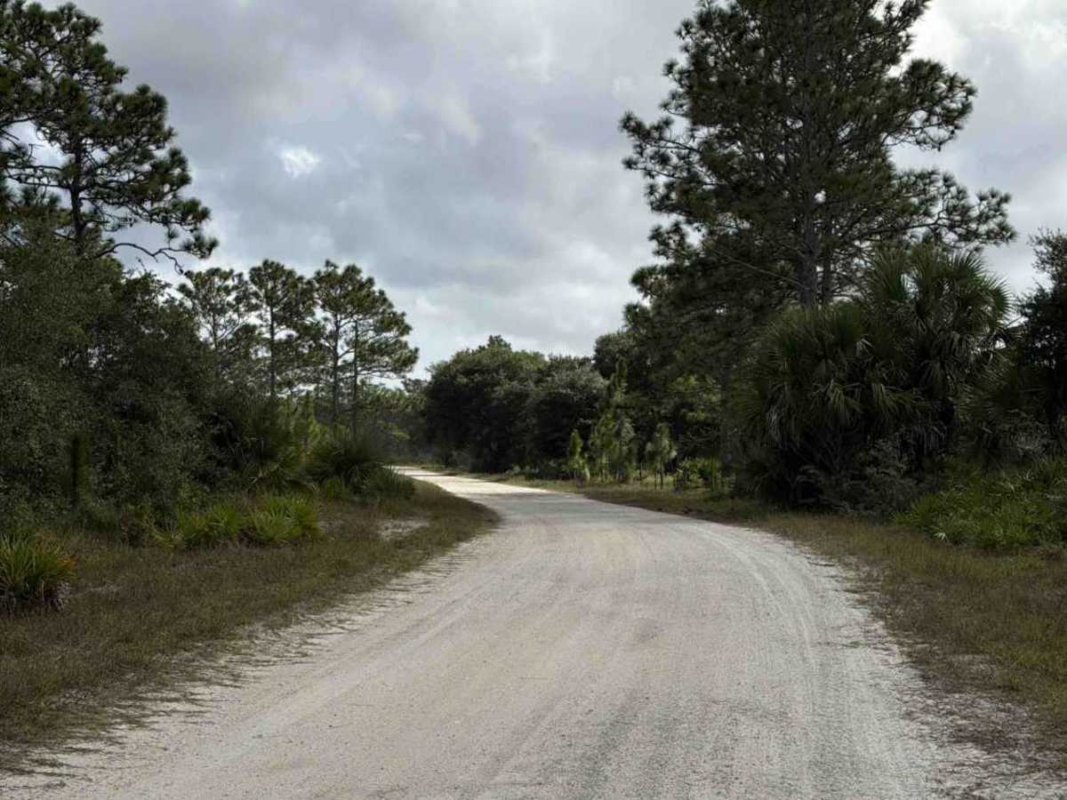 Williams Road - Three Lakes WMA photo 6