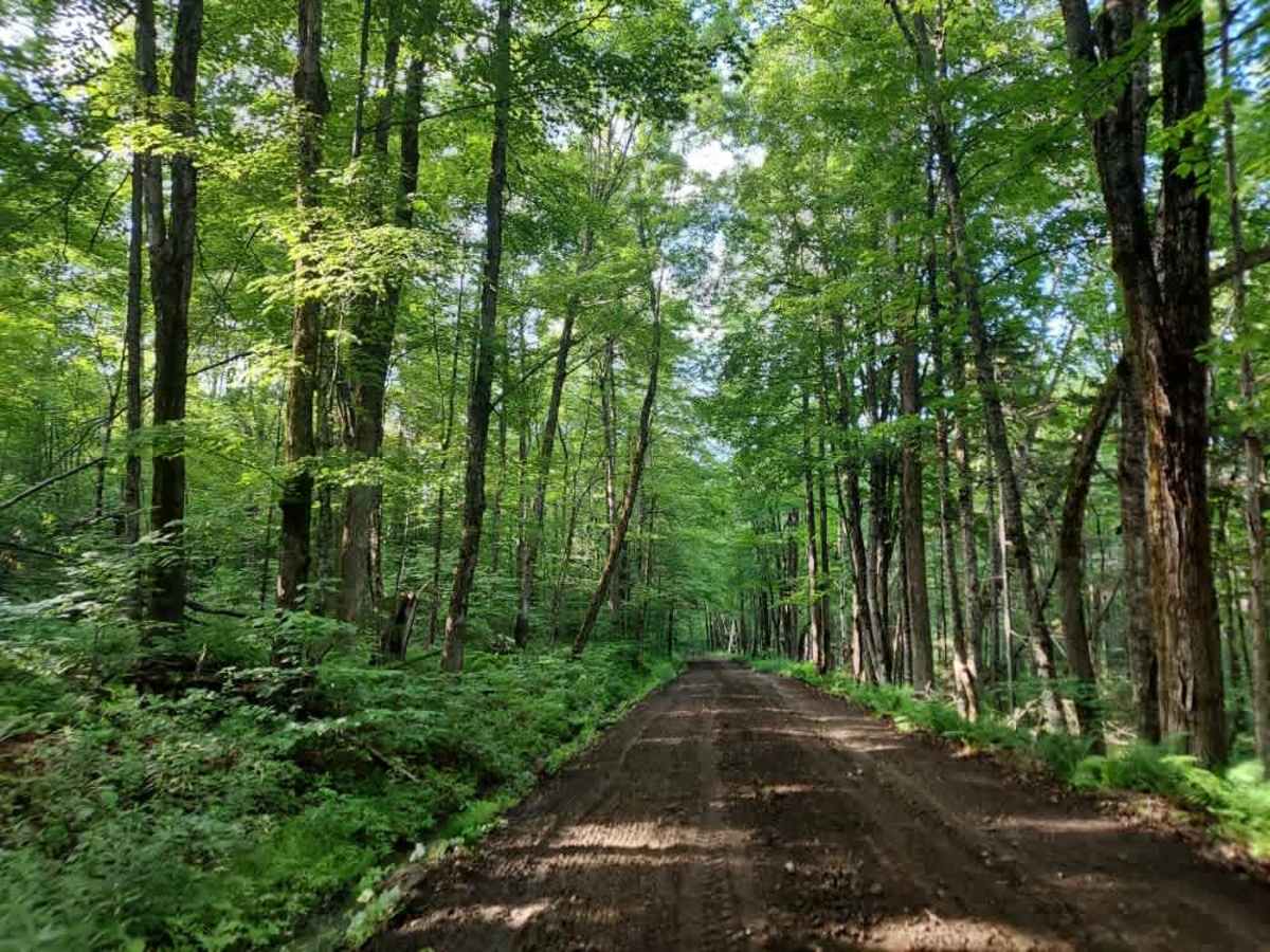 Long Hill Road trail photo