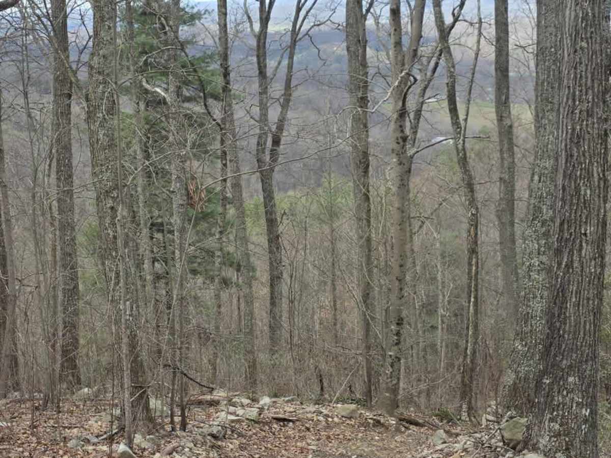 Wheeler Spur photo 6
