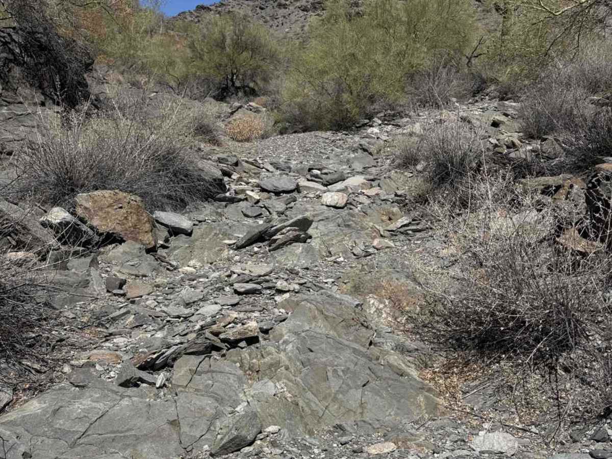 West Calcite Wash  photo 4