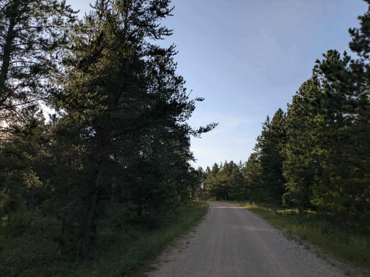 Santa Anna Forest Road photo 6