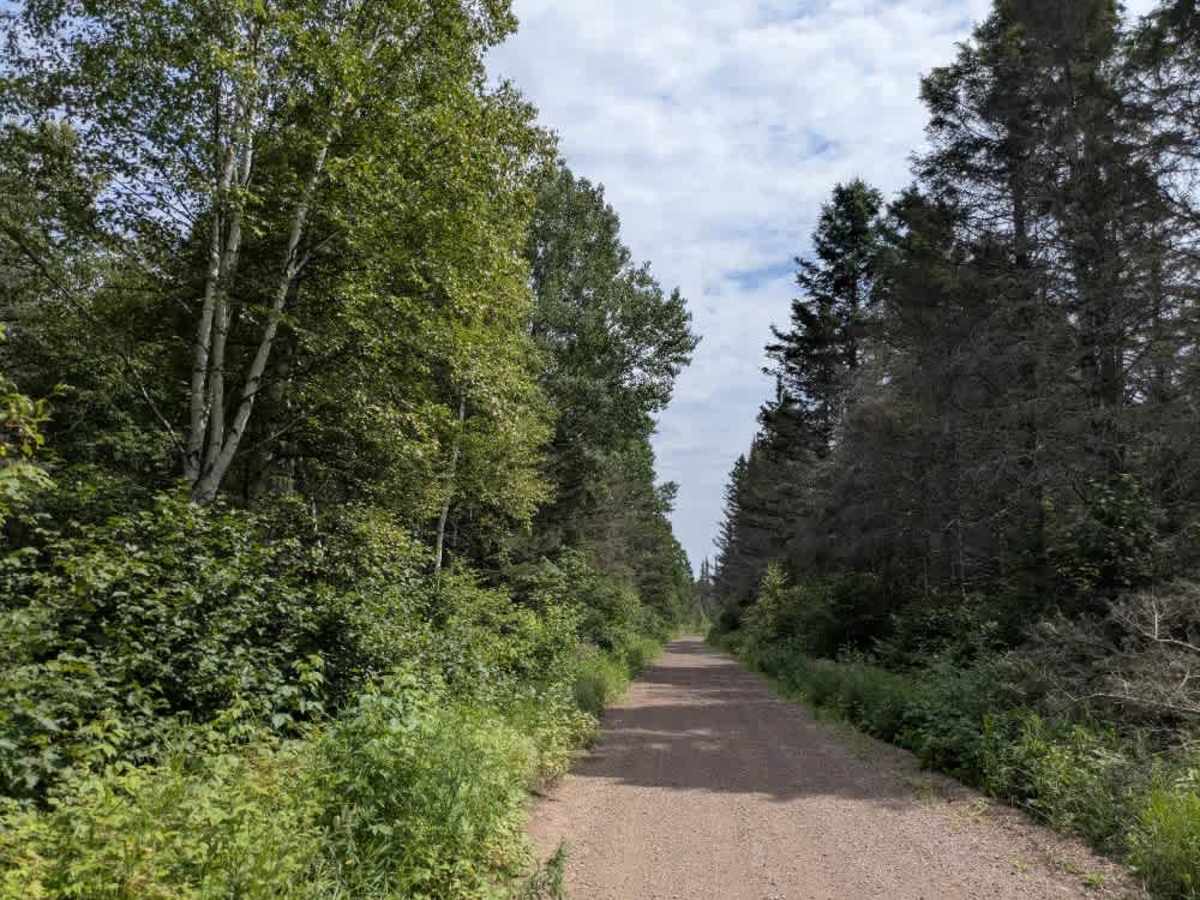 Shoepack Lake trail photo