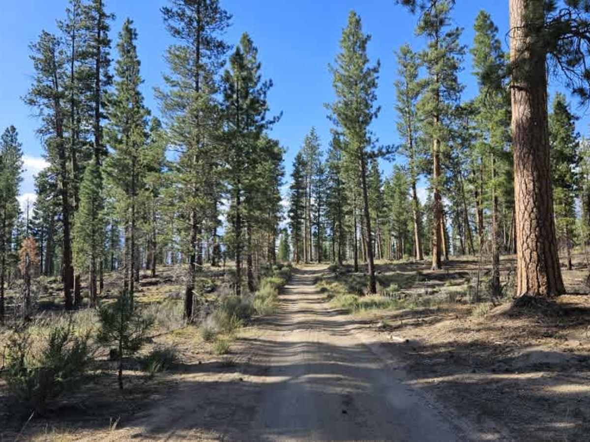 FS 4975120 trail photo