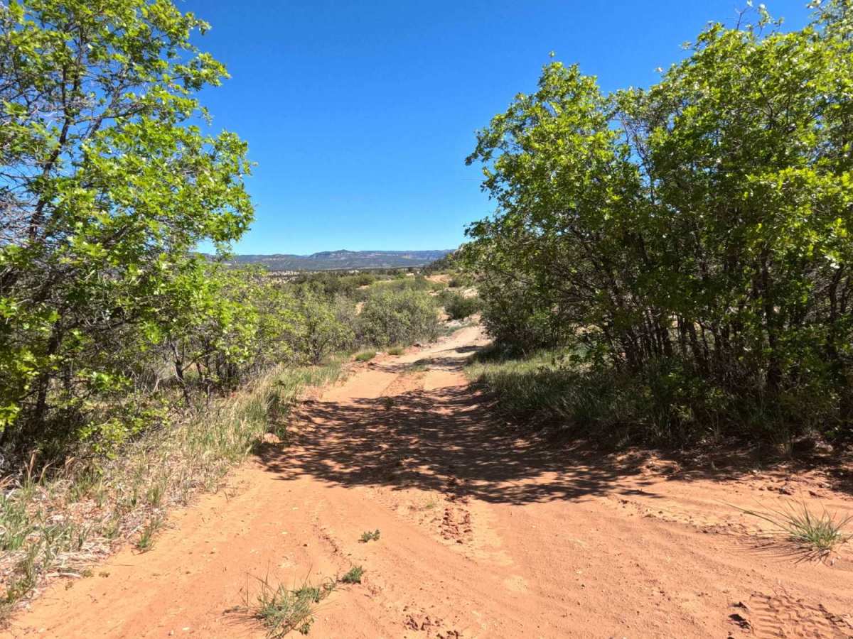 BLM 73  photo 4