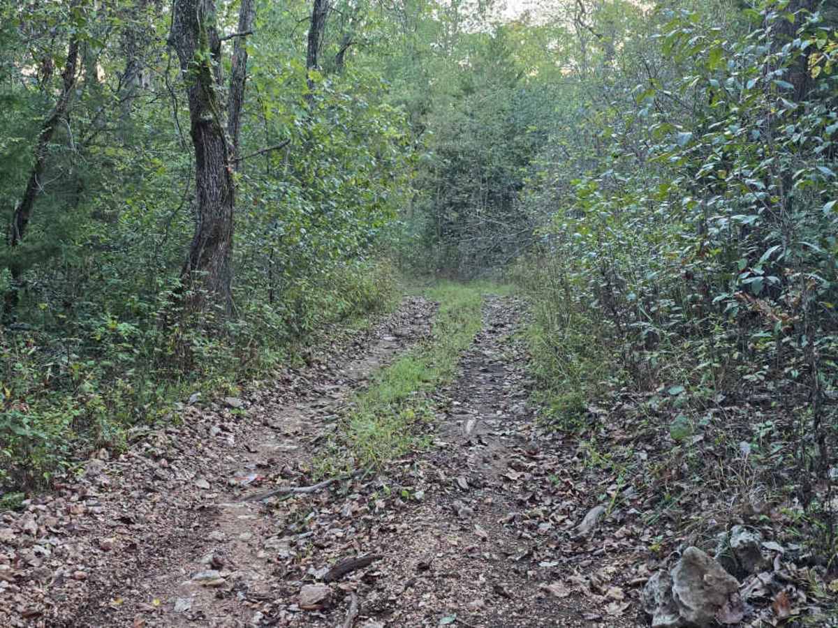 Chimney Trail Bypass trail photo