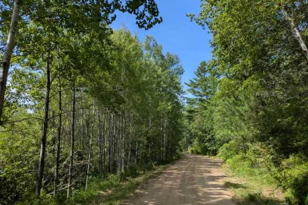 Hungry Gulch Road