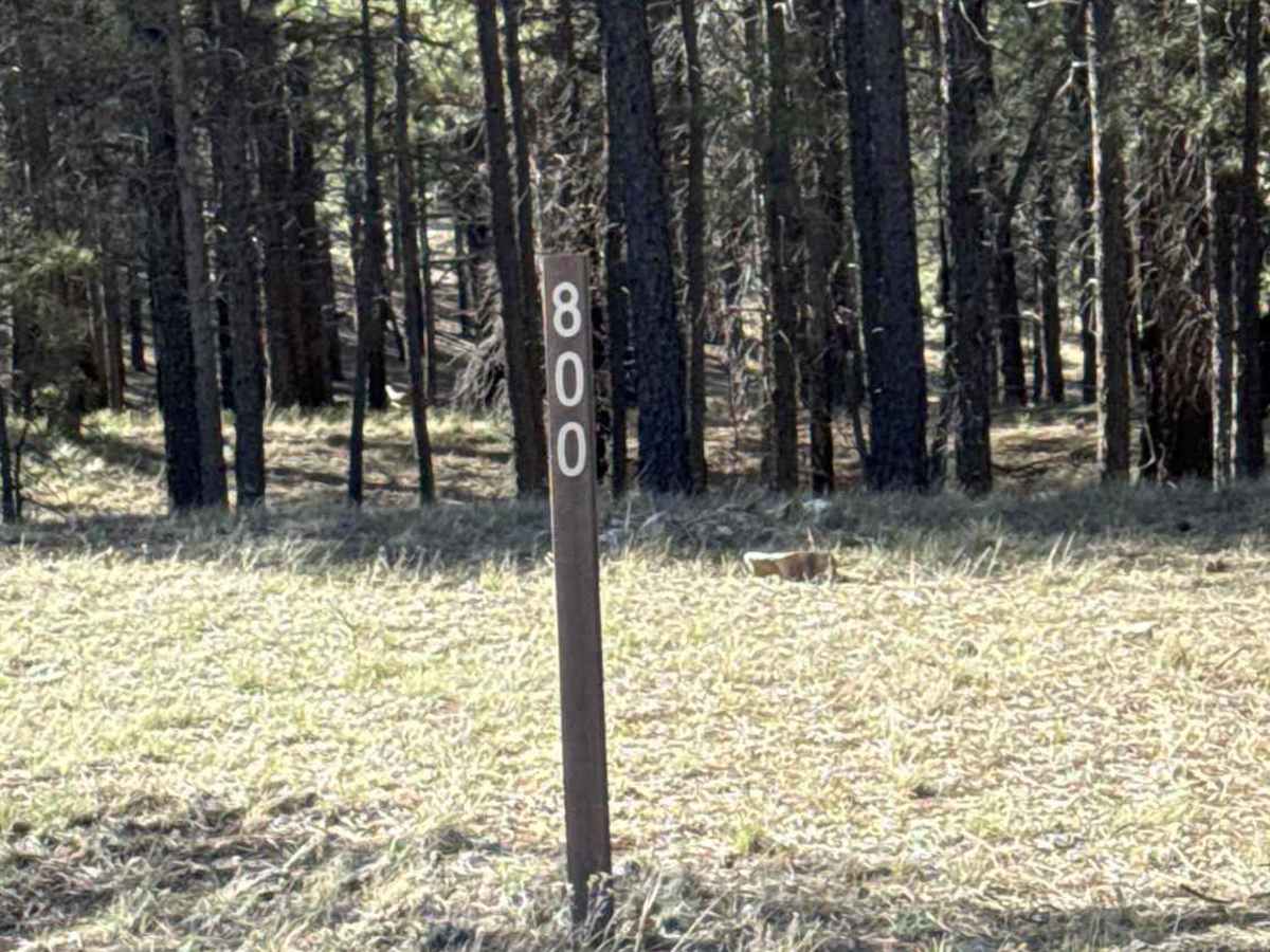 FS 800 trail photo