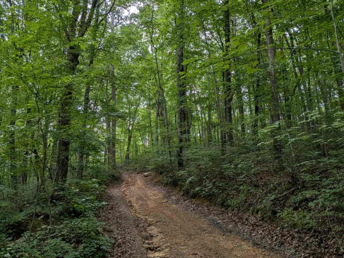 Inman Loop Road trail photo