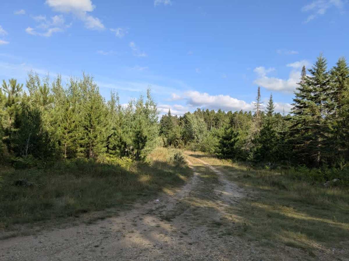 Bednar Forest Road photo 6
