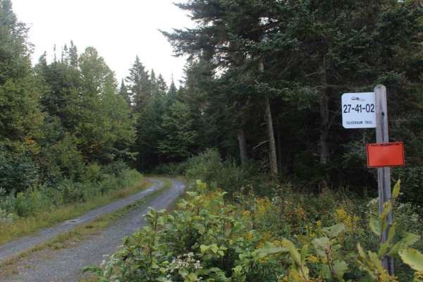 Falkenham Trail