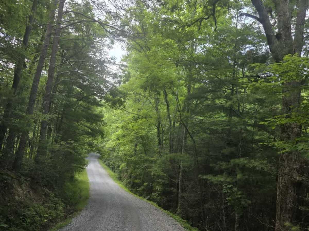 Ridge Road photo 3
