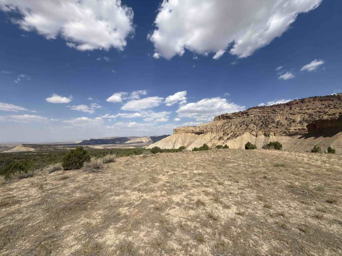 BLM 149 photo 3