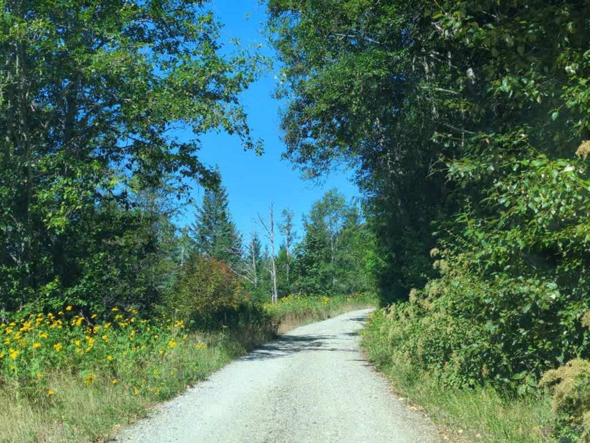 Martin Creek photo 2