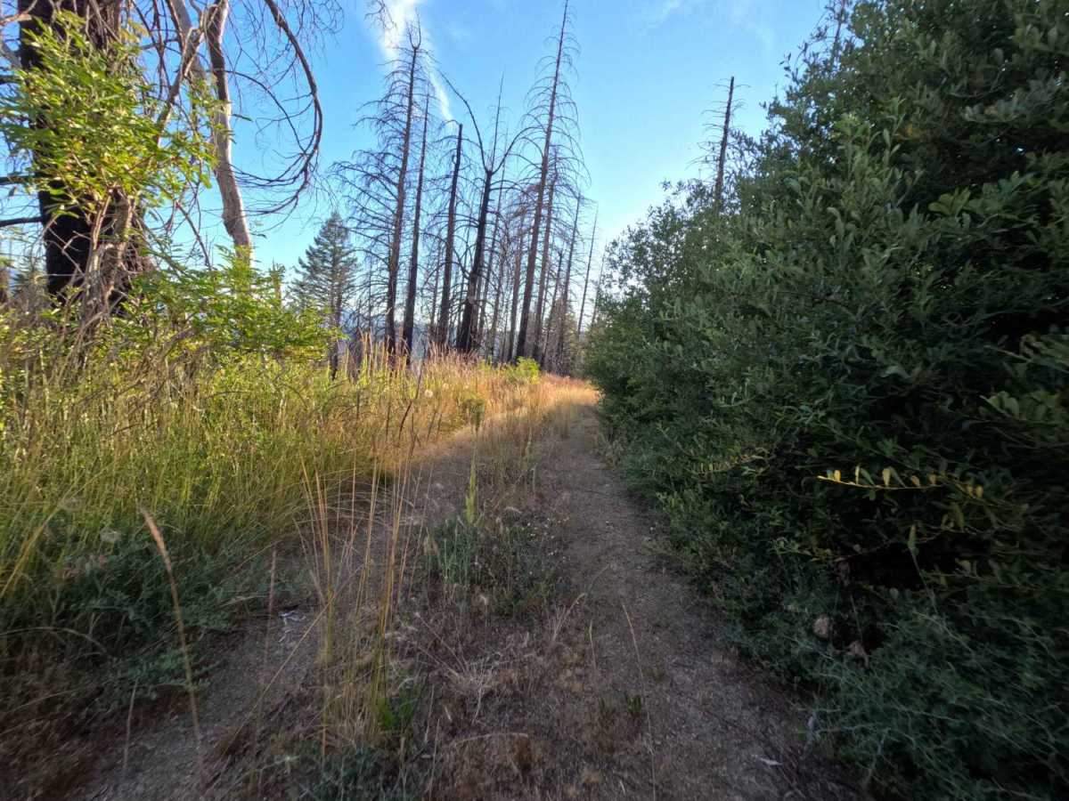 Trough Ridge Spur A - FS 24N05A photo 2