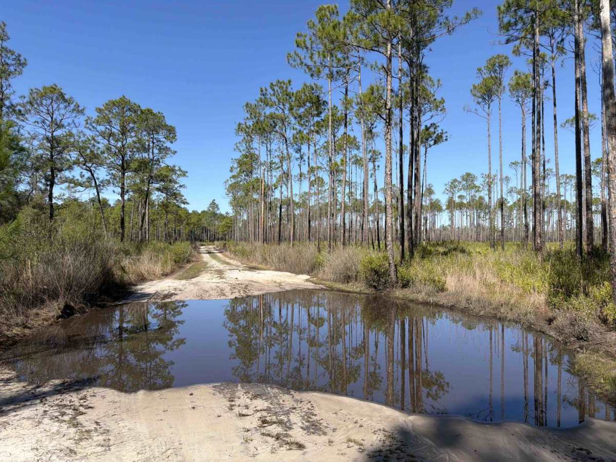 East Branch - FS 306 photo 4