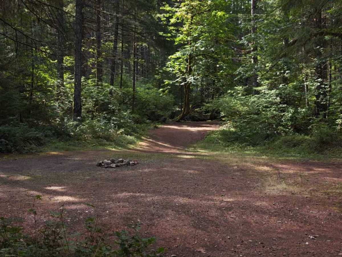 FS 3062-056 trail photo