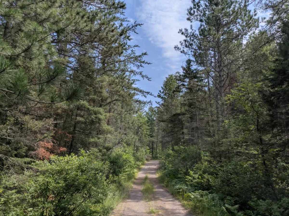 Tomlinson Lake Trail photo 2