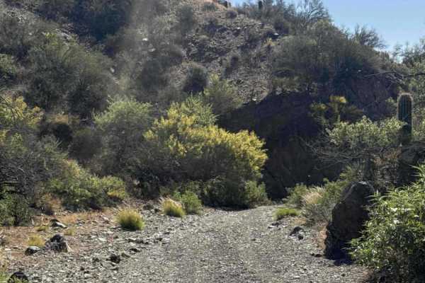 Black Butte Wash