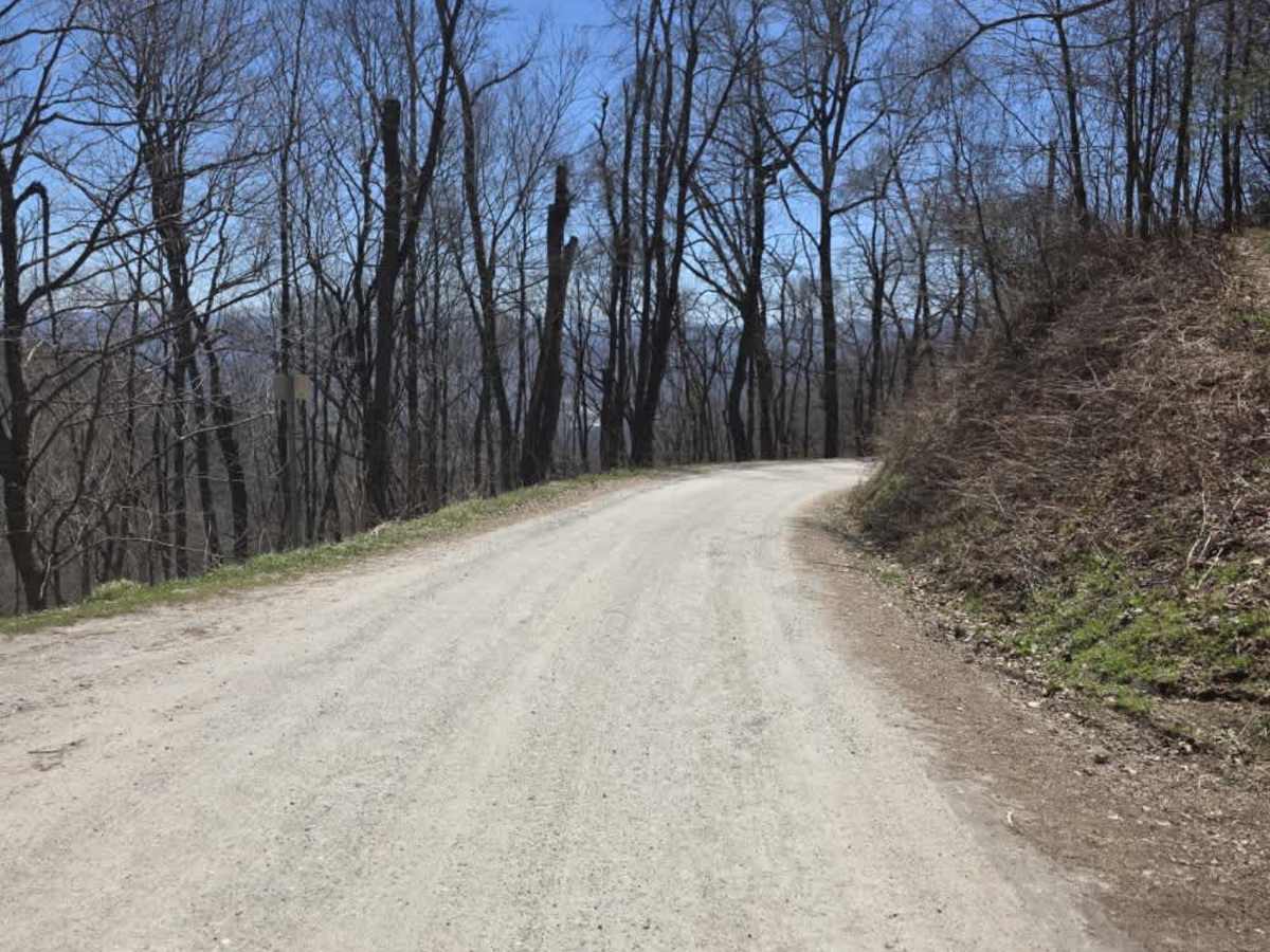 Cove Creek Road photo 2