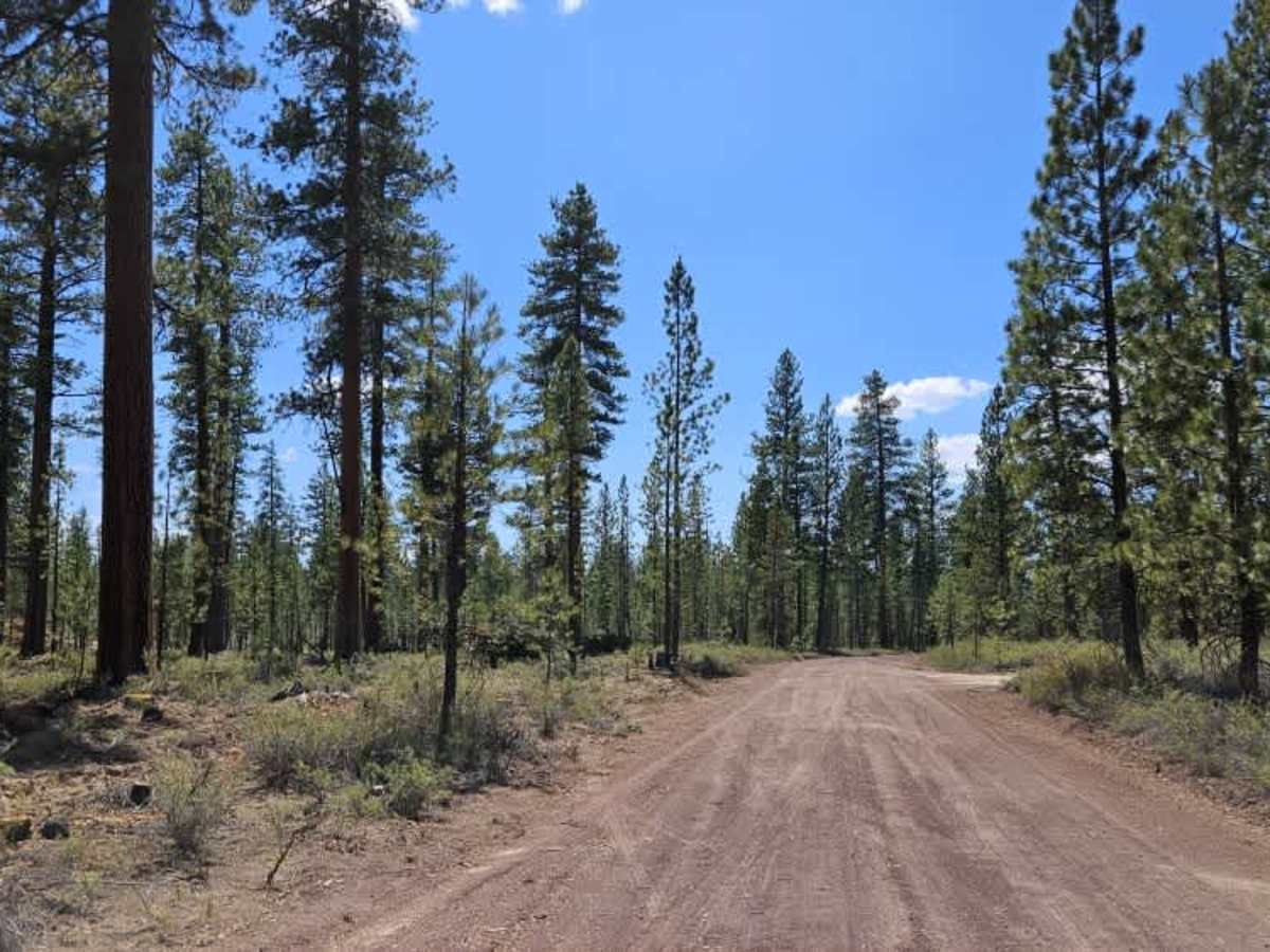 FS 2225000 trail photo