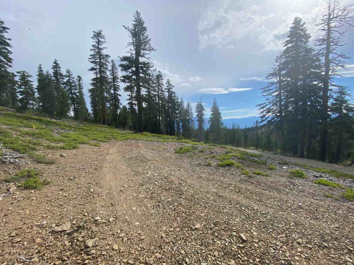 Cooper Meadow Spur A - FS 40N67A trail photo
