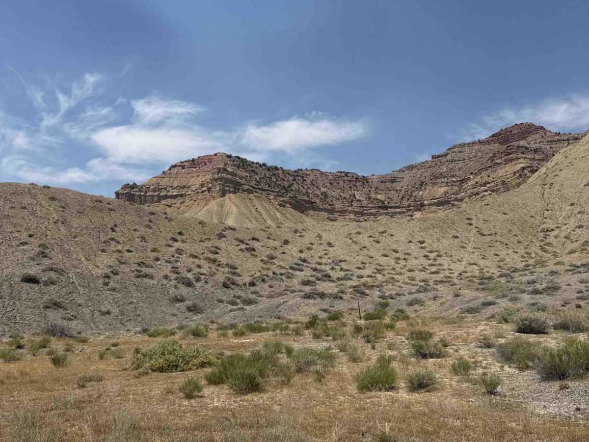 BLM 113 photo 6